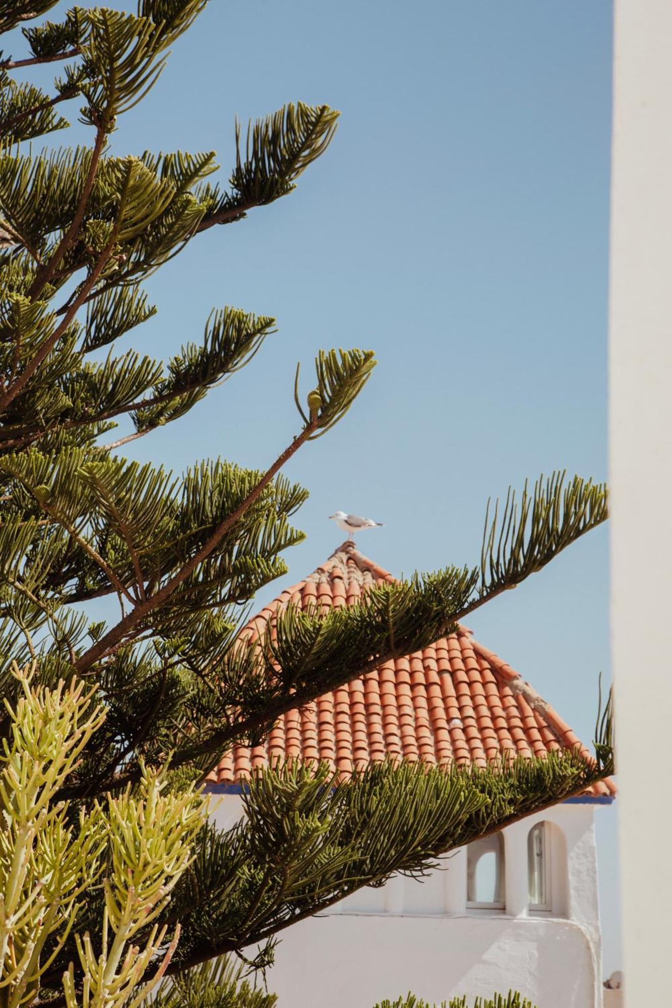 Villa Maroc เอสเซาอิรา ภายนอก รูปภาพ