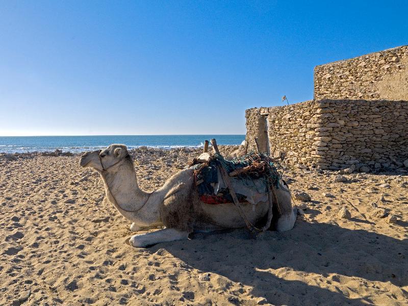 Villa Maroc เอสเซาอิรา ภายนอก รูปภาพ